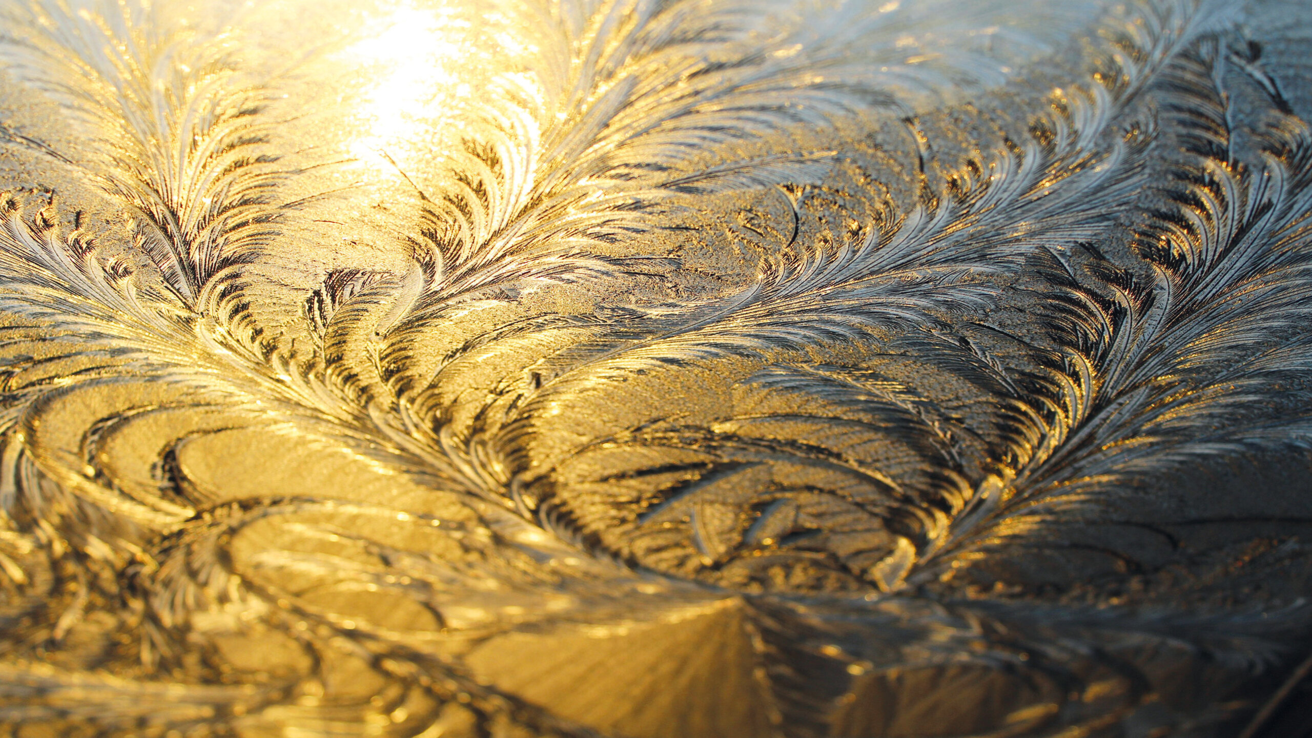 © ice-flowers_1243075 pixabay.com © ice-flowers_1243075 pixabay.com